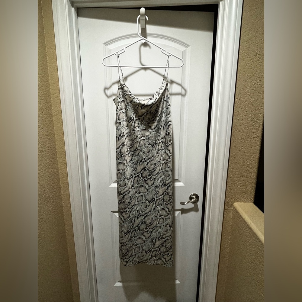 Cara Santana python snake slip dress